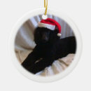 Suche nach pudel ornamente Sankt