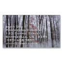 Suche nach winterlandschaft visitenkarten Baum