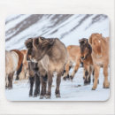 Suche nach isländisches pferd mousepads Bauernhof