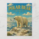 Suche nach arktis postkarten Eisbär