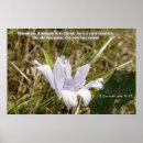 Suche nach schaffung poster Bibel