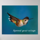 Suche nach hummingbird poster Bird watching