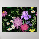 Suche nach kamille poster Für alle