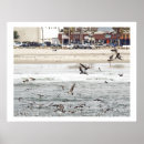 Suche nach tierphotographie poster Vögel