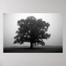 Suche nach unterkunft poster Natur