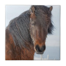 Suche nach equus caballus fliesen Pony