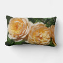 Suche nach trio kissen Rose