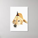 Suche nach puppen leinwandbilder Fotografie