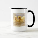 Suche nach niedliche enten tasse tassen Tiere