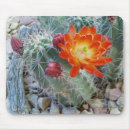 Suche nach kaktus blume mousepads Wüste