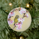Suche nach kleiner vogel ornamente Natur