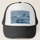 Suche nach delphine kappen Fische