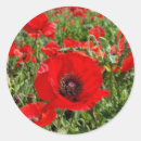 Suche nach mohnblumen aufkleber Für alle