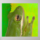 Suche nach lustiger frosch poster Bunt