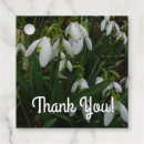 Suche nach galanthus Für alle
