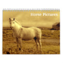 Suche nach reiter kalender Hengst