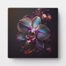 Suche nach orchidee fotoplatten Pflanze