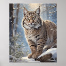 Suche nach lynx poster Winter