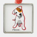 Suche nach jack russell ornamente Welpe