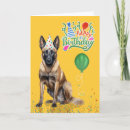 Suche nach belgische malinois karten Jede person