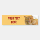 Suche nach orange katze autoaufkleber Miezekatze