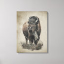Suche nach büffel poster leinwandbilder Natur