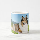 Suche nach rough collie tassen Schafhund