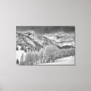 Suche nach asp leinwandbilder Aspen tree