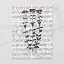 Suche nach zeitgenössisch postkarten Tiere