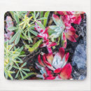 Suche nach reyes mousepads Kalifornien
