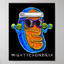 Suche nach zellbiologie poster Wissenschaft
