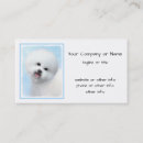 Suche nach bichons visitenkarten Für alle