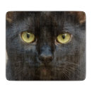 Suche nach schwarze katze schneidebrettchen Kätzchen