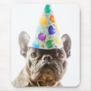Suche nach franziskaner mousepads Haustiere