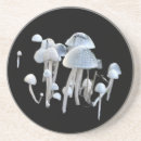 Suche nach pilze untersetzer Jede person