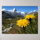 Suche nach walliser poster Alpen