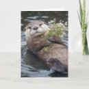 Suche nach otter karten Für sie