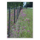 Suche nach phlox postkarten Bunt