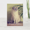 Suche nach ragdoll cat karten Rragdoll