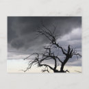 Suche nach natürliche desaster postkarten Sturm