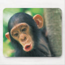 Suche nach neugier mousepads Niedlich