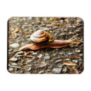 Suche nach boden magnete Natur