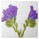 Suche nach ausschnitt fliesen Natürliche welt