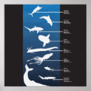Suche nach geschöpfe poster Natur