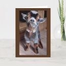 Suche nach glückliches gefühl karten Familie