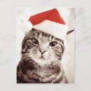 Suche nach tabbykatze karten Spaß