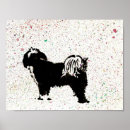 Suche nach tibetanischer terrier Welpe