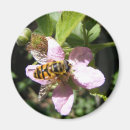 Suche nach grüne biene magnete Rosa