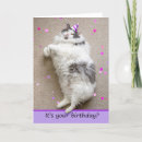 Suche nach wut karten Katze