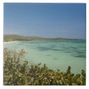 Suche nach karibisches meer fliesen Landschaft